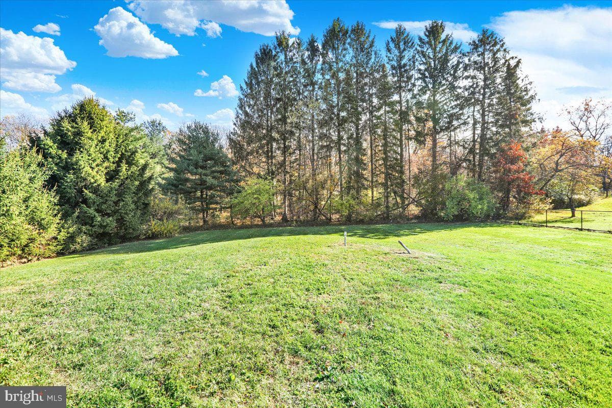 59 Henry Road photo 31