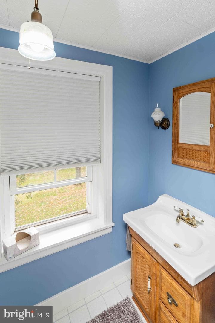 100 Pineland Road photo 49