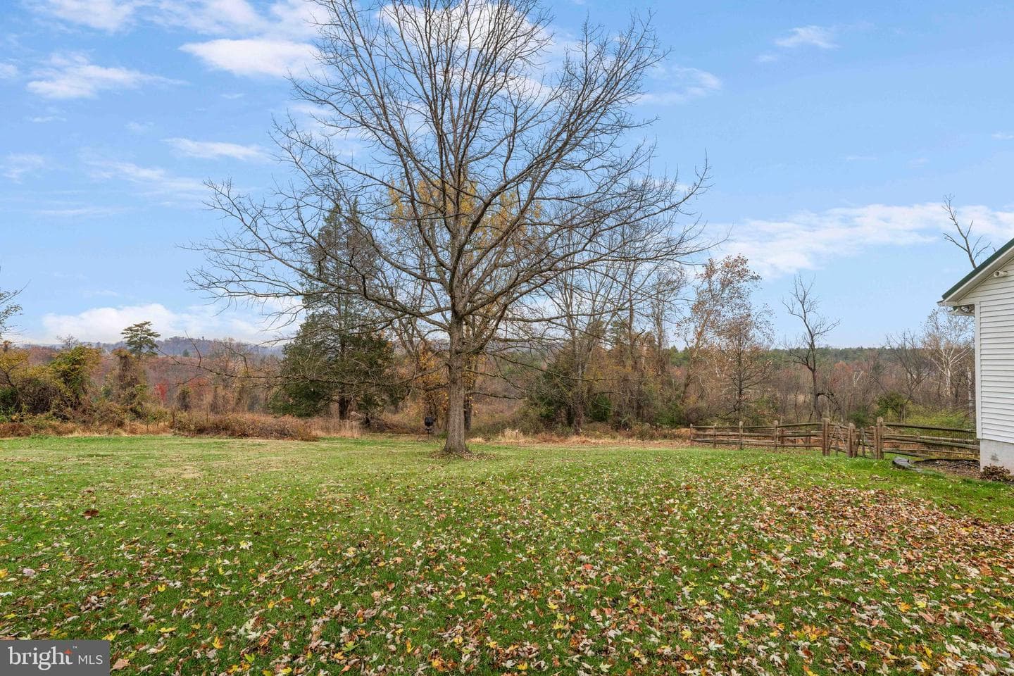 100 Pineland Road photo 5