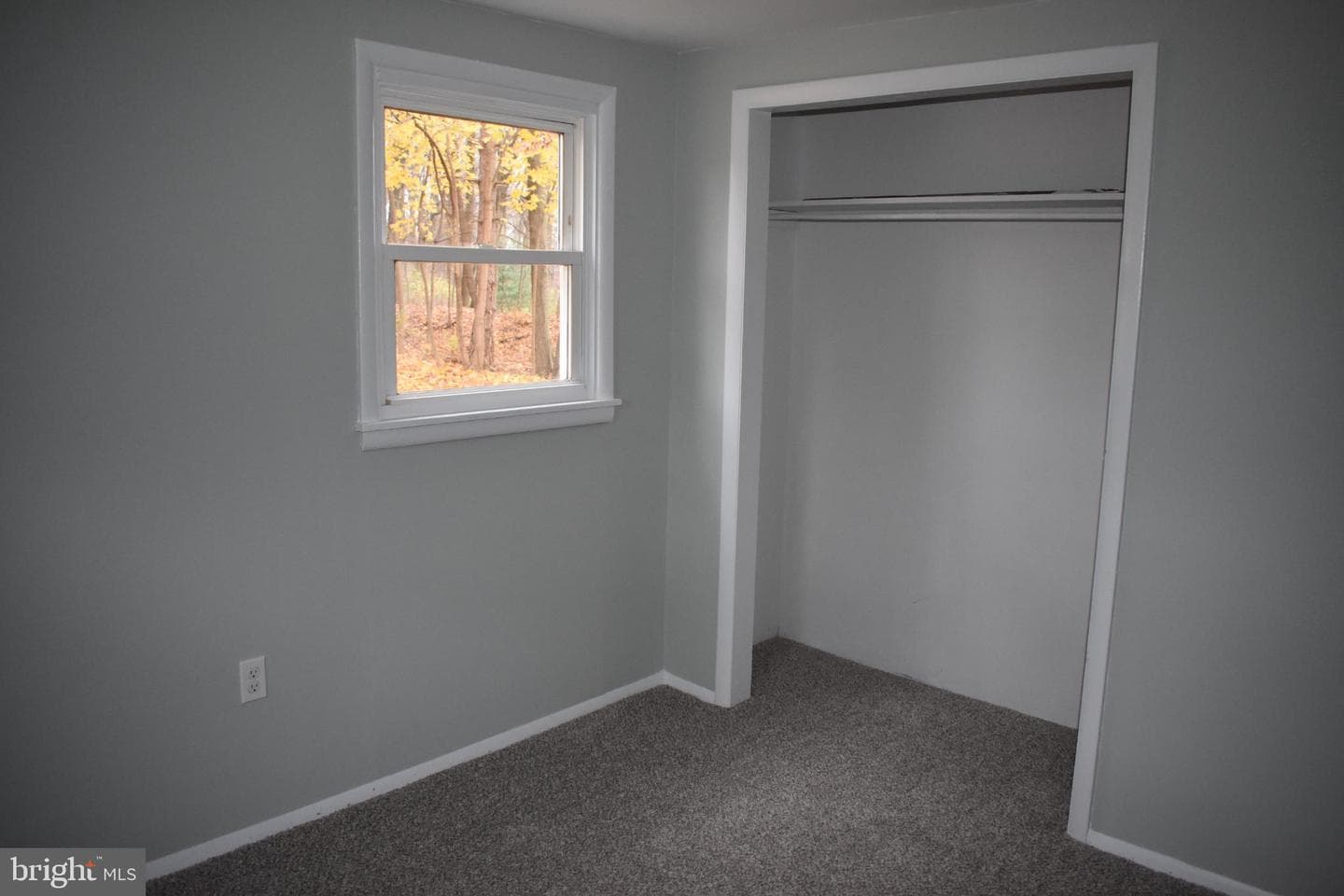 127 Cedar Lane photo 15