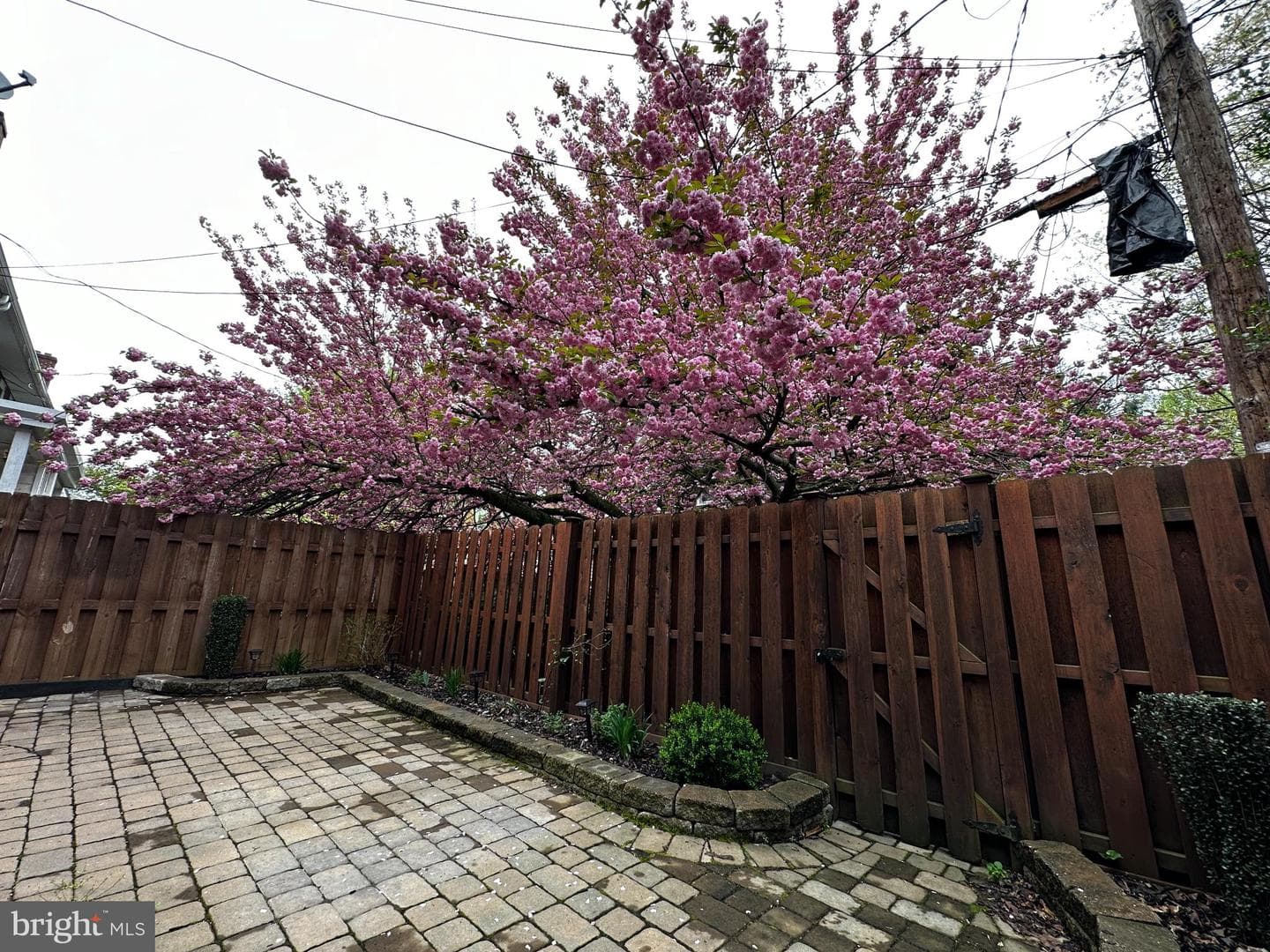 924 Franklin Street photo 16