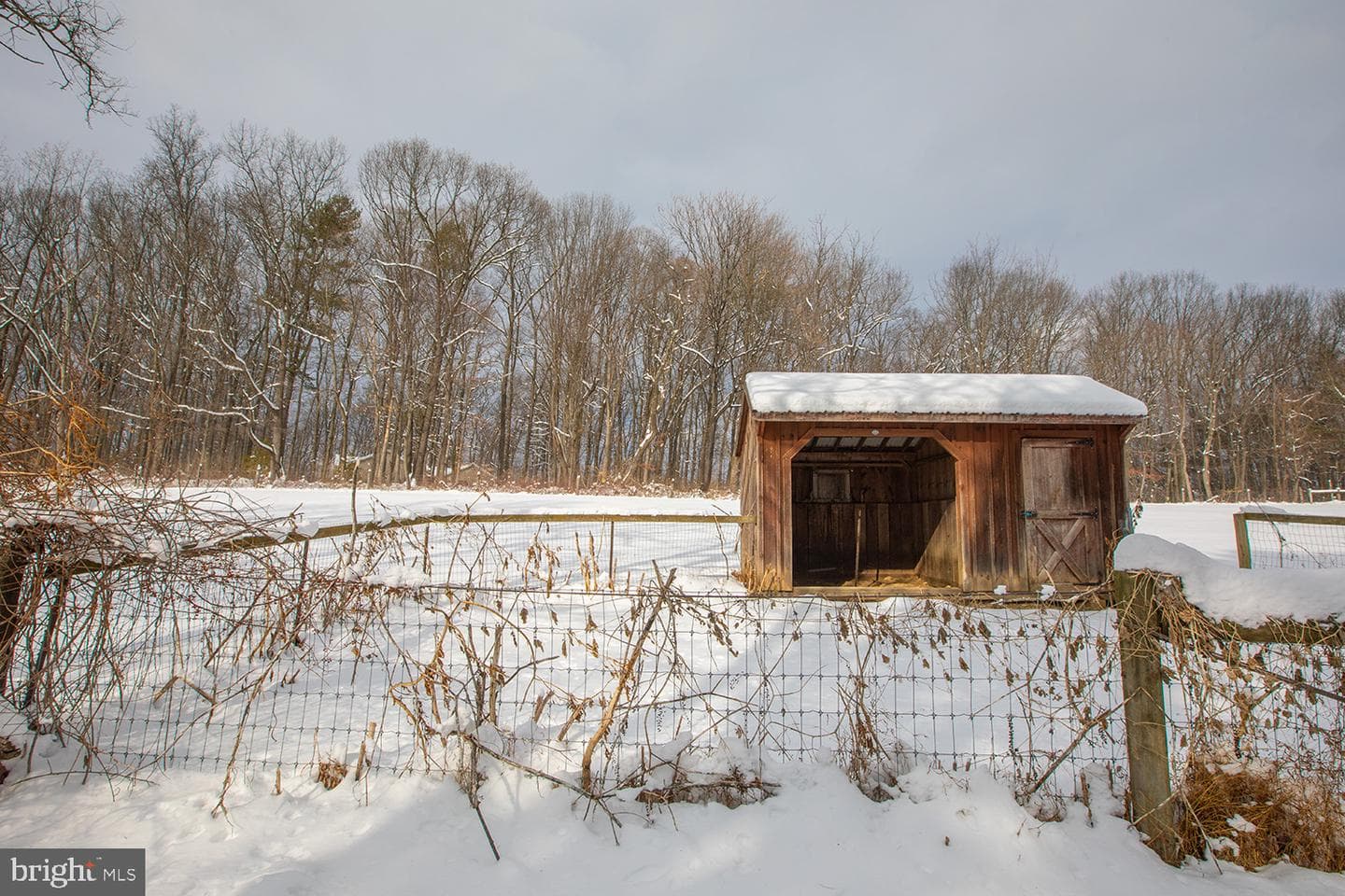 220 Dietrich Road photo 79