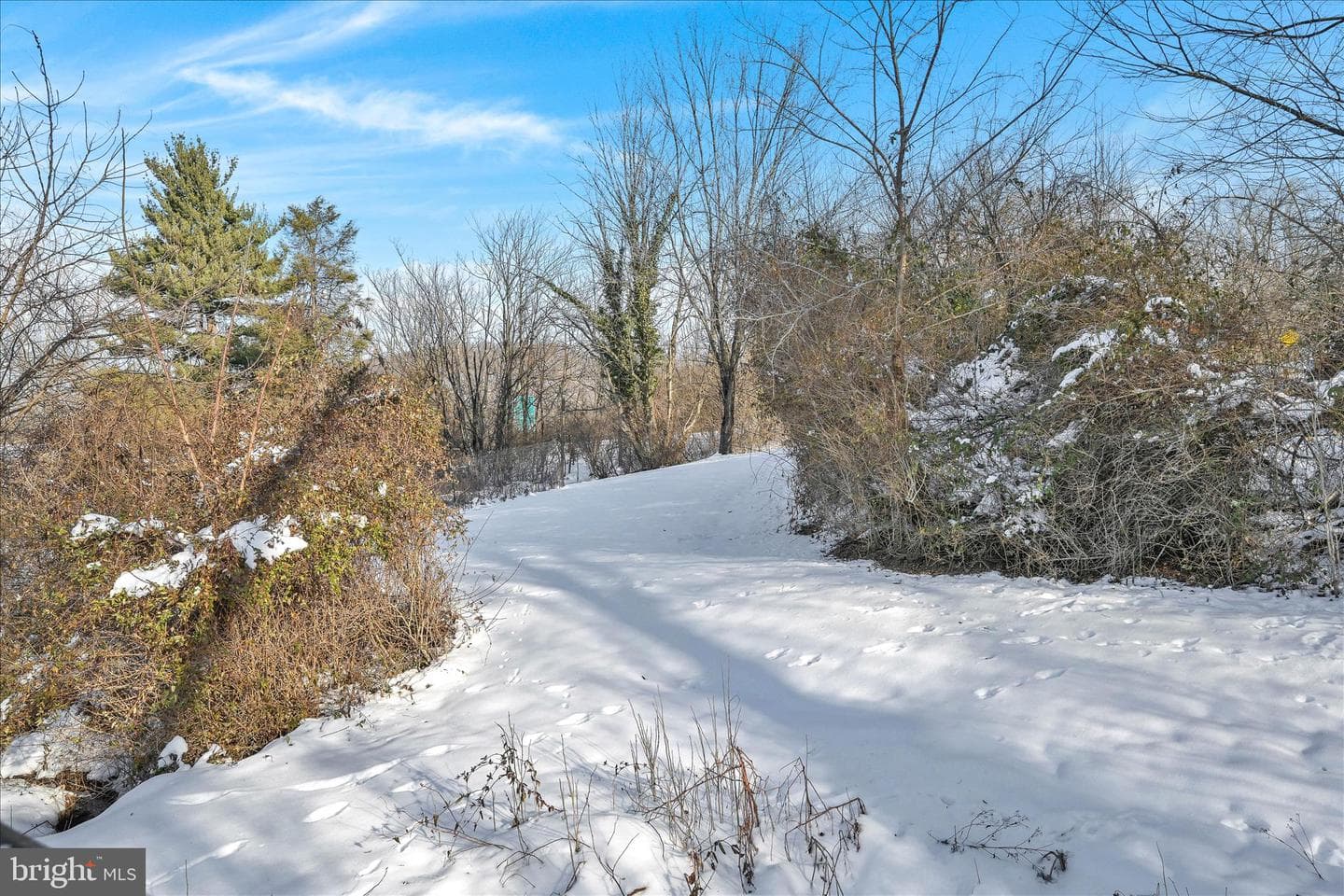 1837 Old Spring Valley Road photo 32