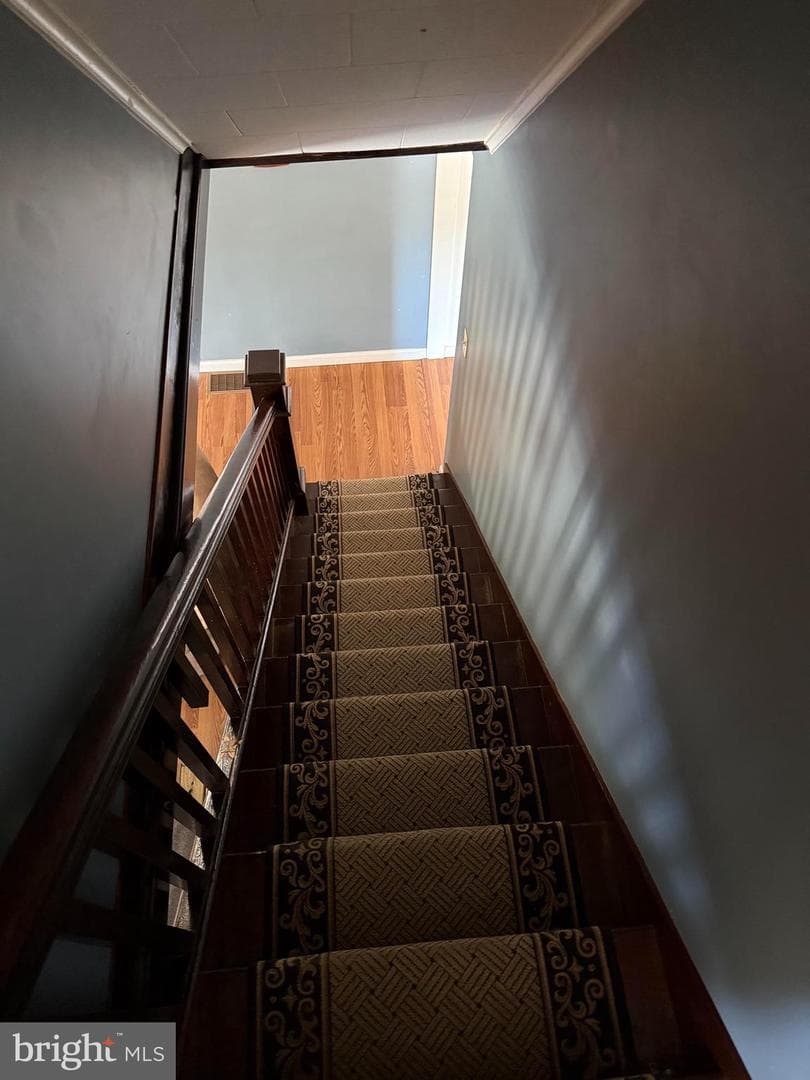 108 Poplar Road photo 21