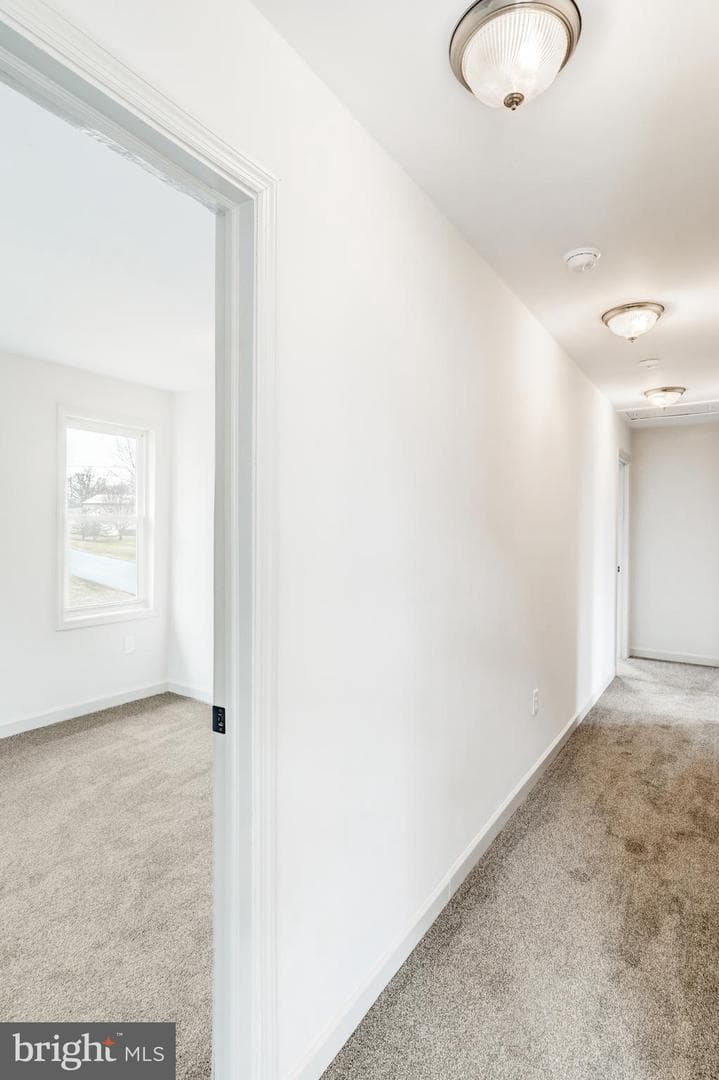 5 Edgewood Avenue photo 17