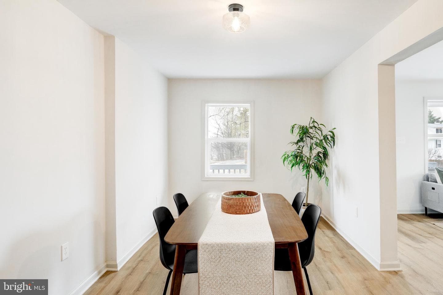 5 Edgewood Avenue photo 6