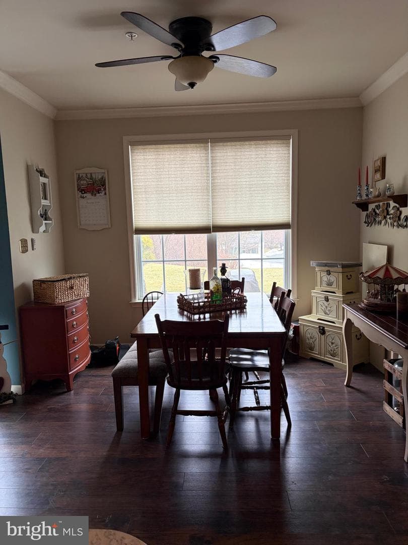 74 Emily Court photo 20
