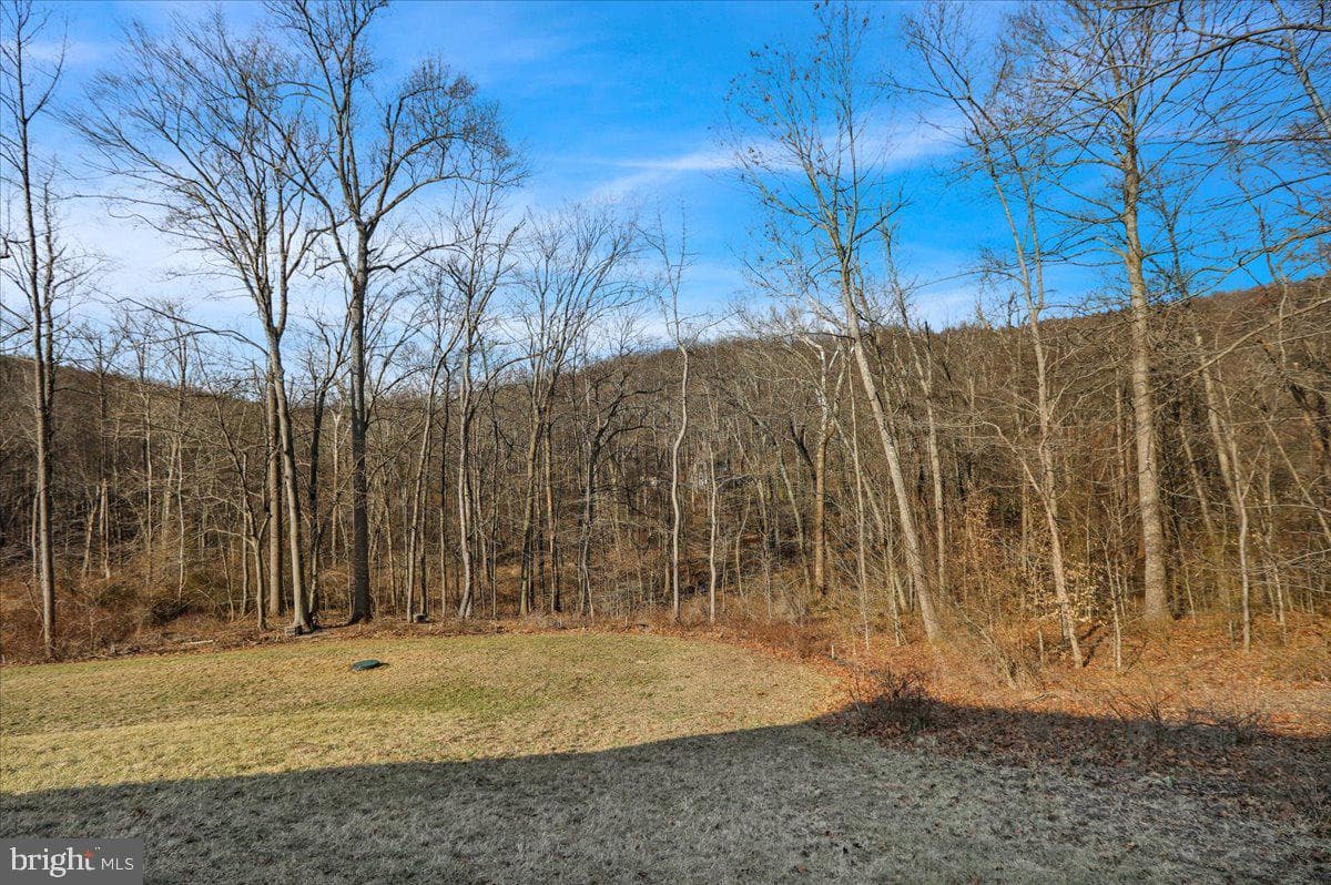 252 Oak Grove Road photo 41