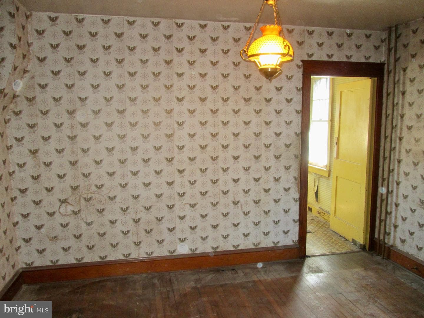 431 Raymond Street photo 10
