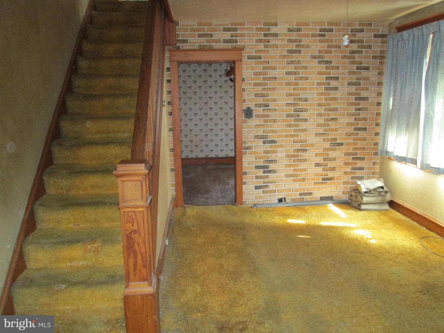 431 Raymond Street photo 4