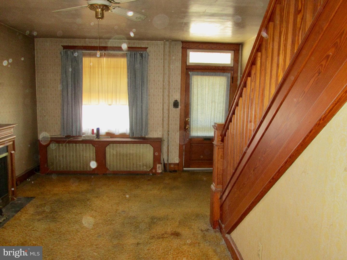 431 Raymond Street photo 6