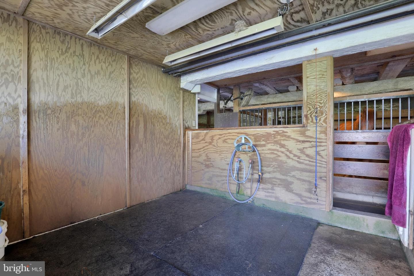 140 Evans Hill Road photo 59