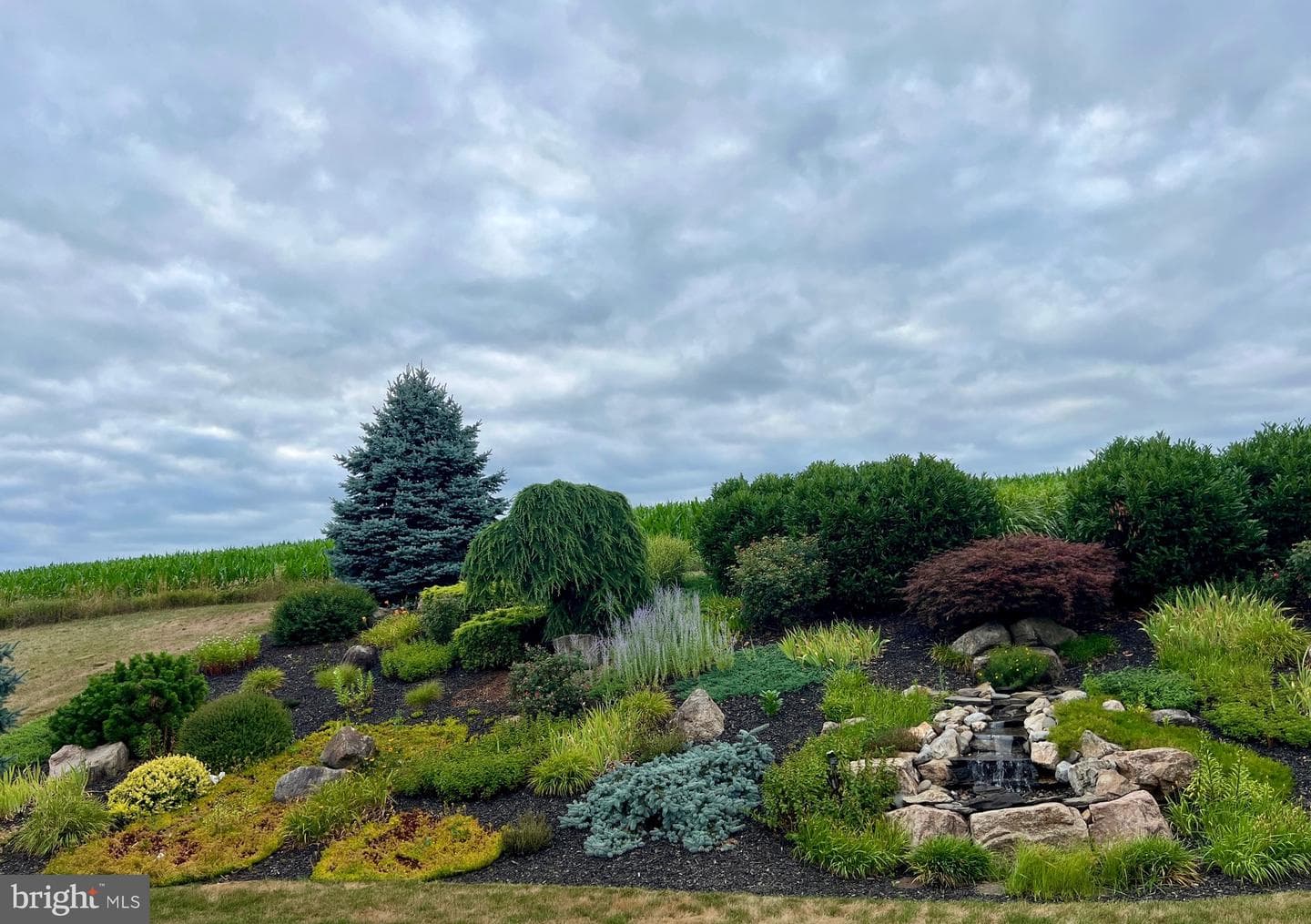 382 Tilden Road photo 29