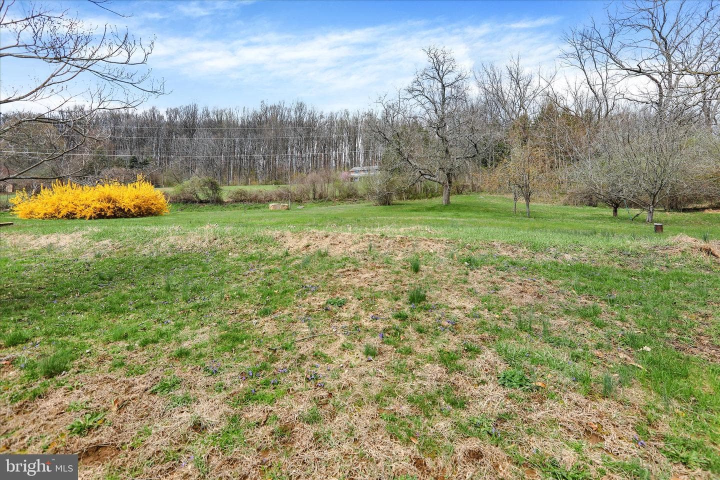 405 Oysterdale Road photo 15