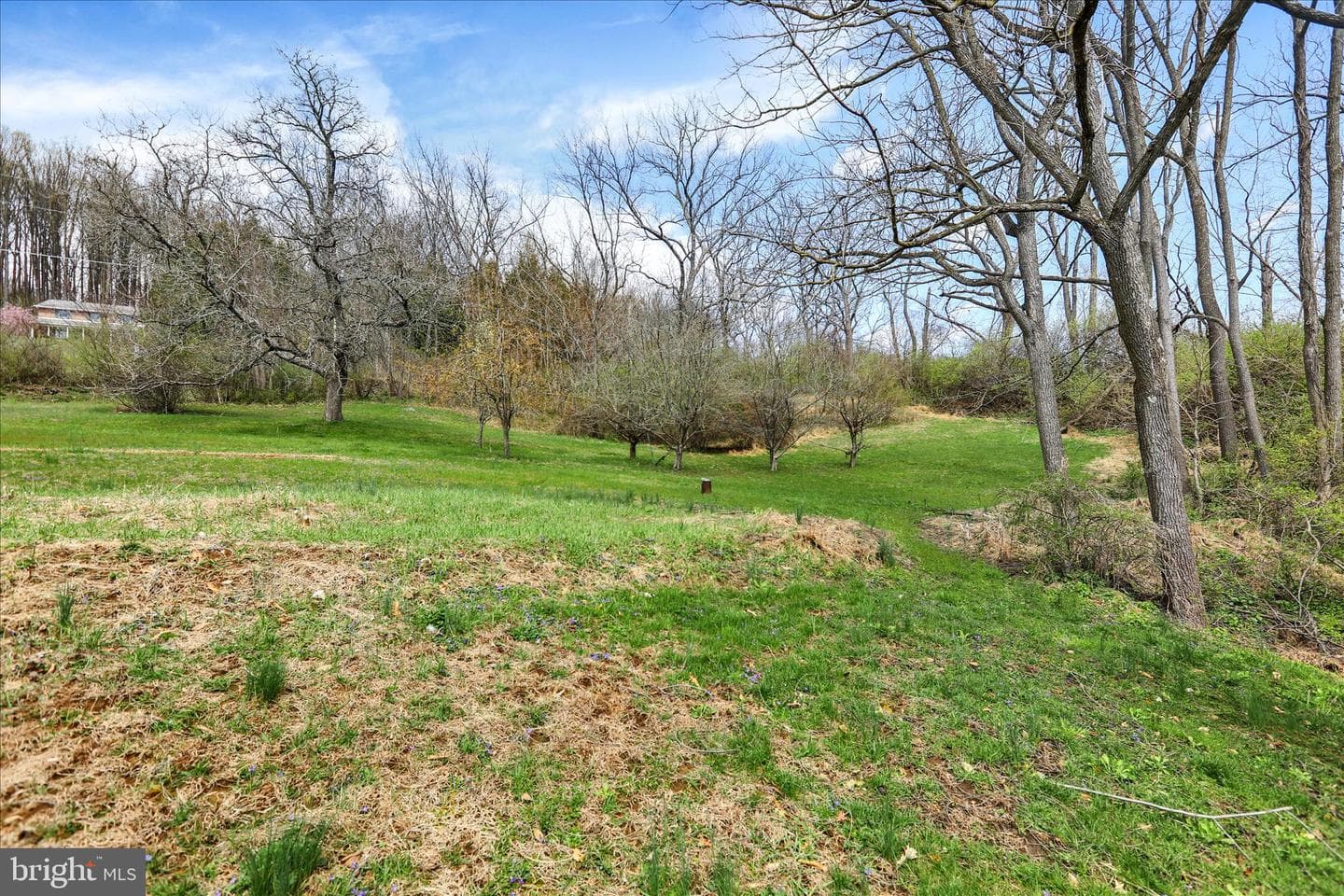 405 Oysterdale Road photo 16