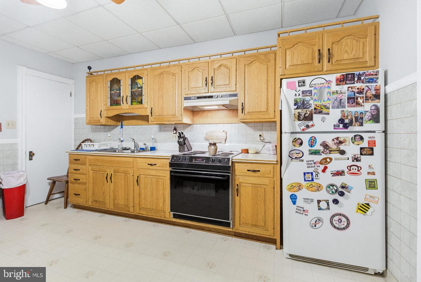 145 Werner Street photo 12