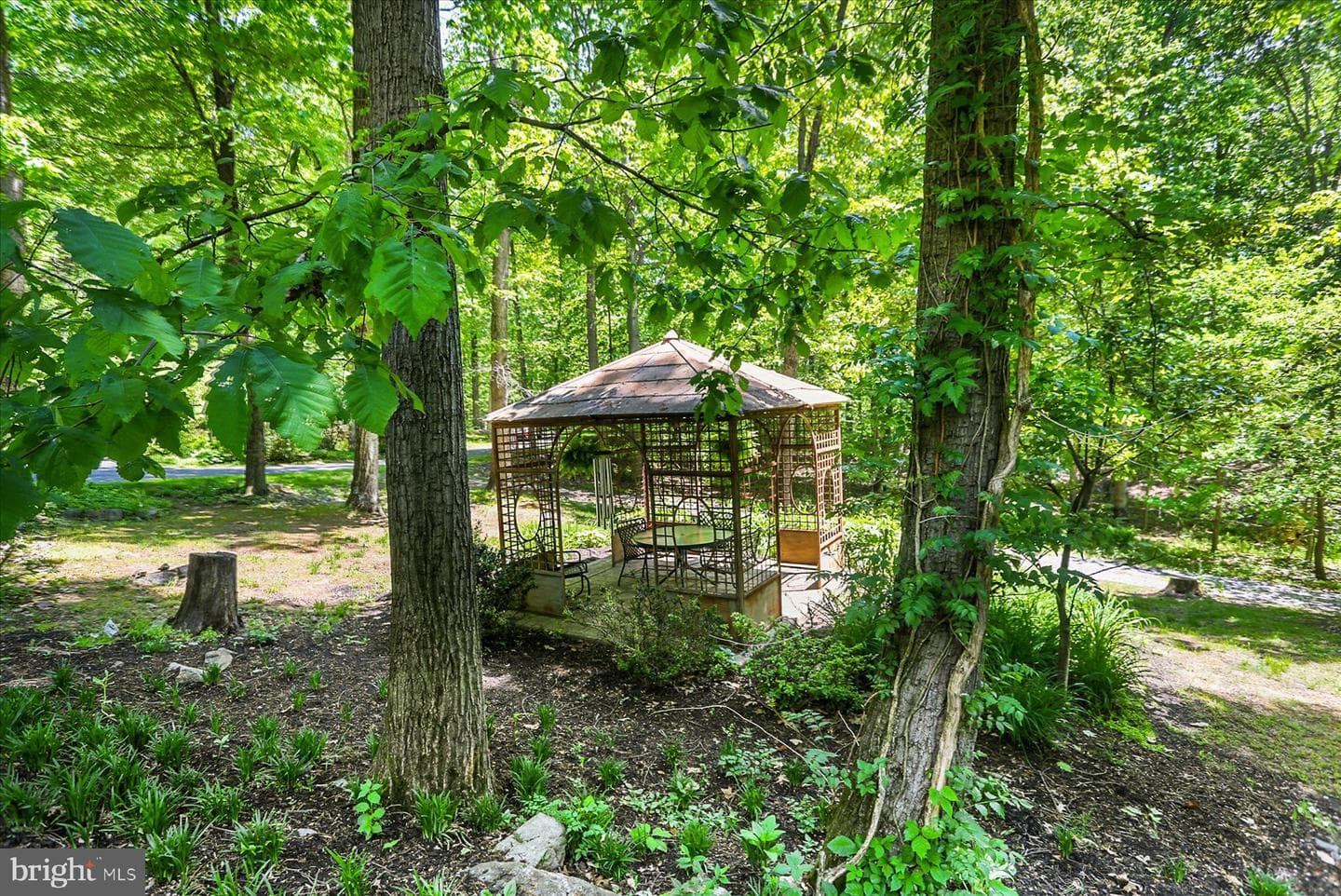 1575 Pine Grove Road photo 50