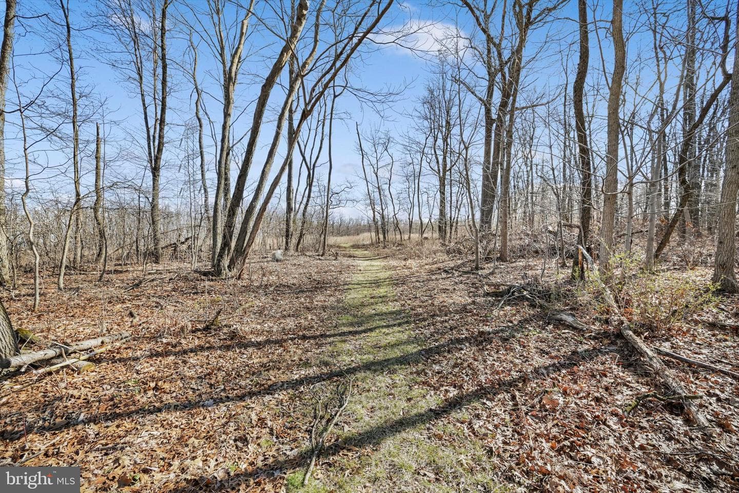 418 Mountainside Road photo 4