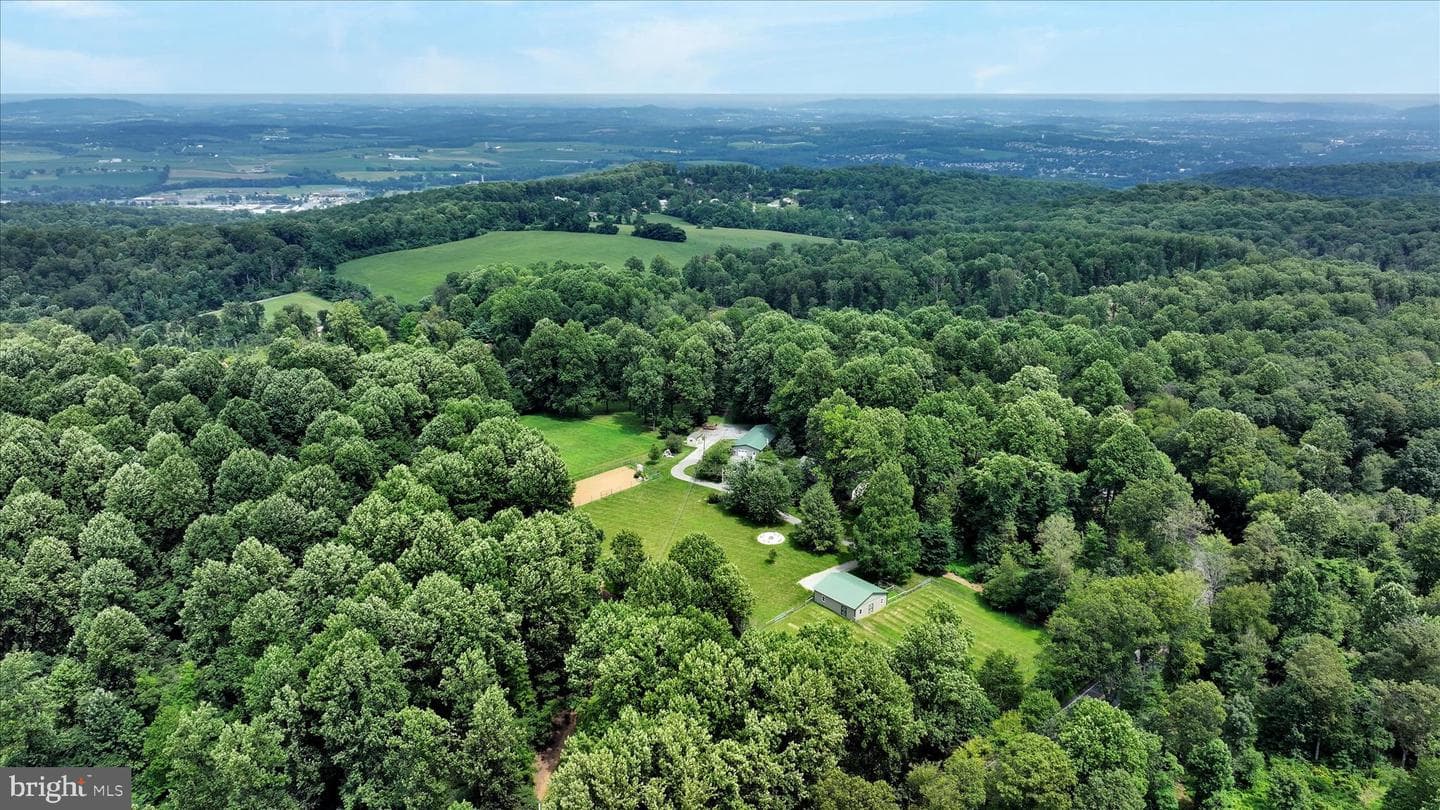 569 Texter Mountain Road photo 91