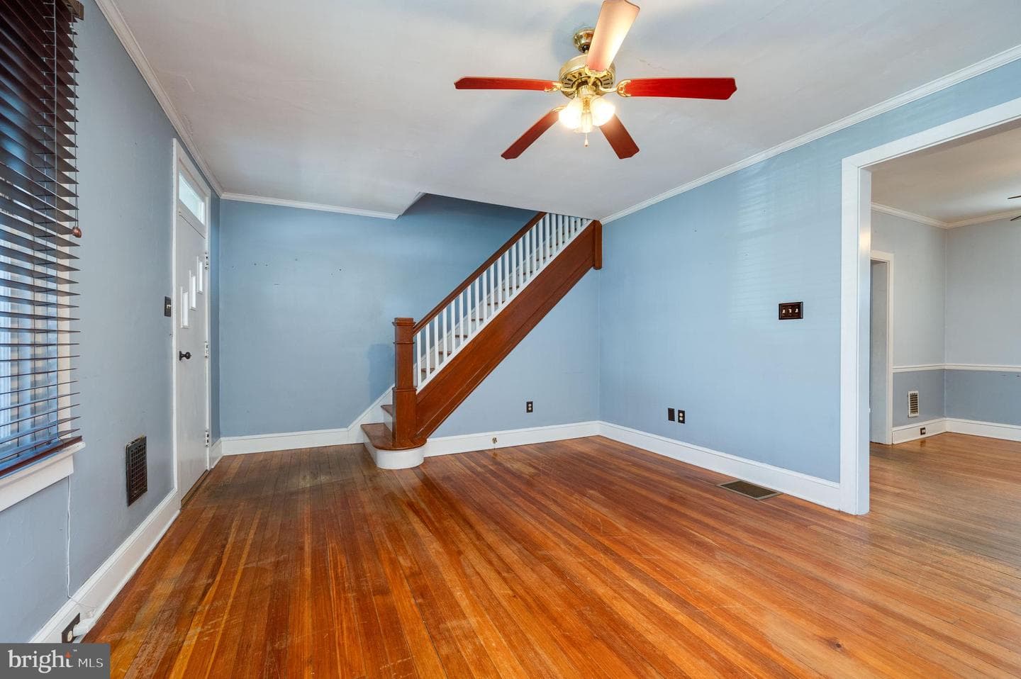 7 Marshall Avenue photo 10