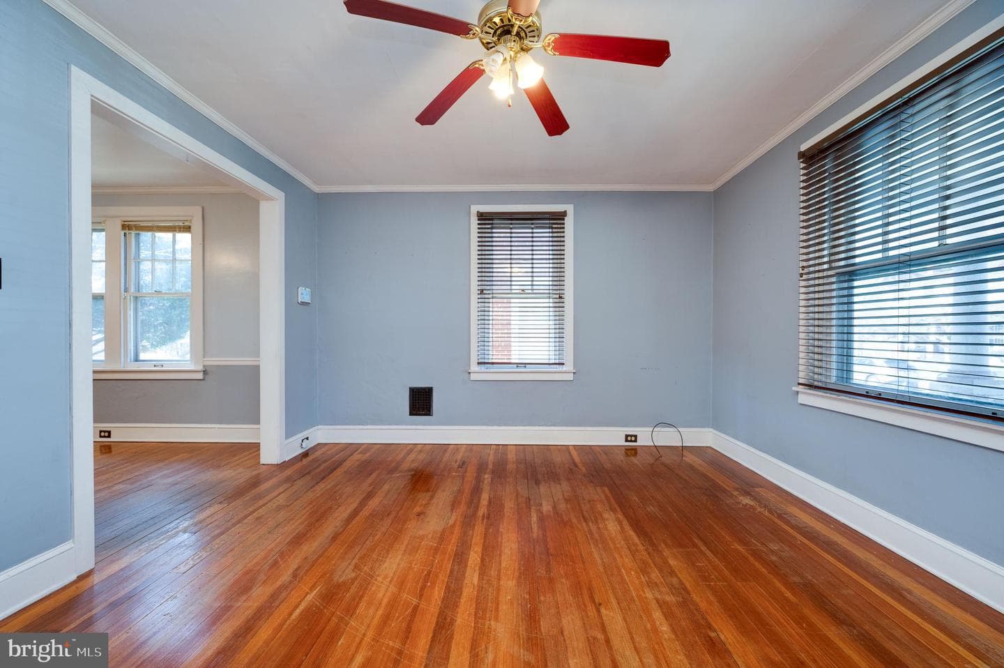 7 Marshall Avenue photo 9