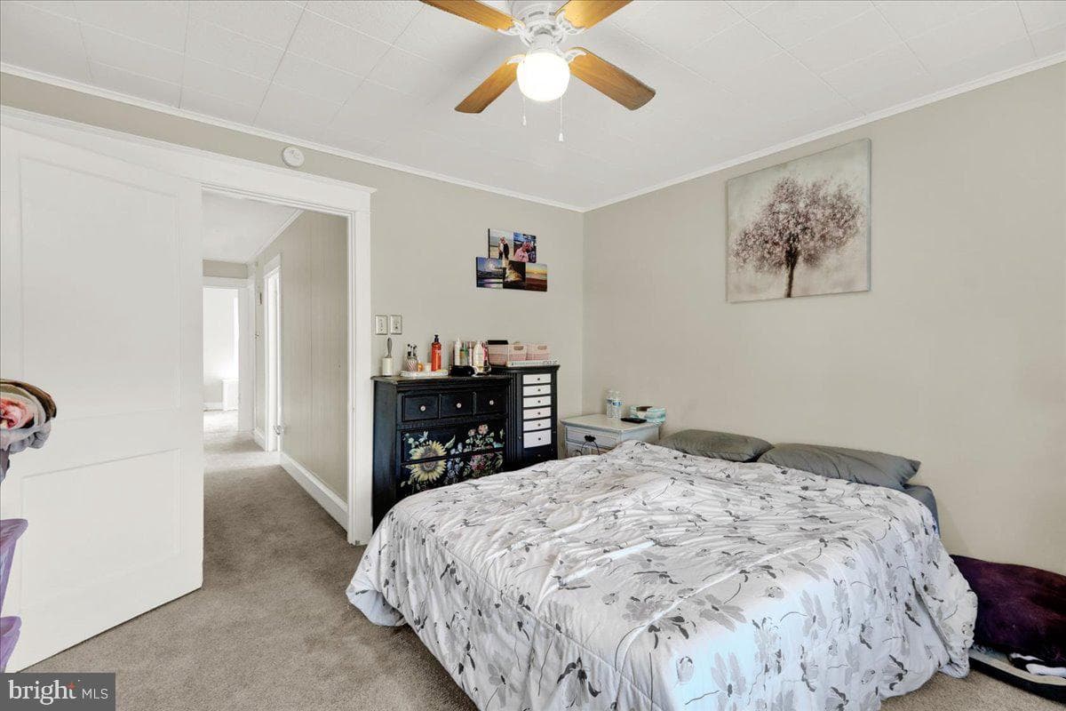 8 Pershing Boulevard photo 11