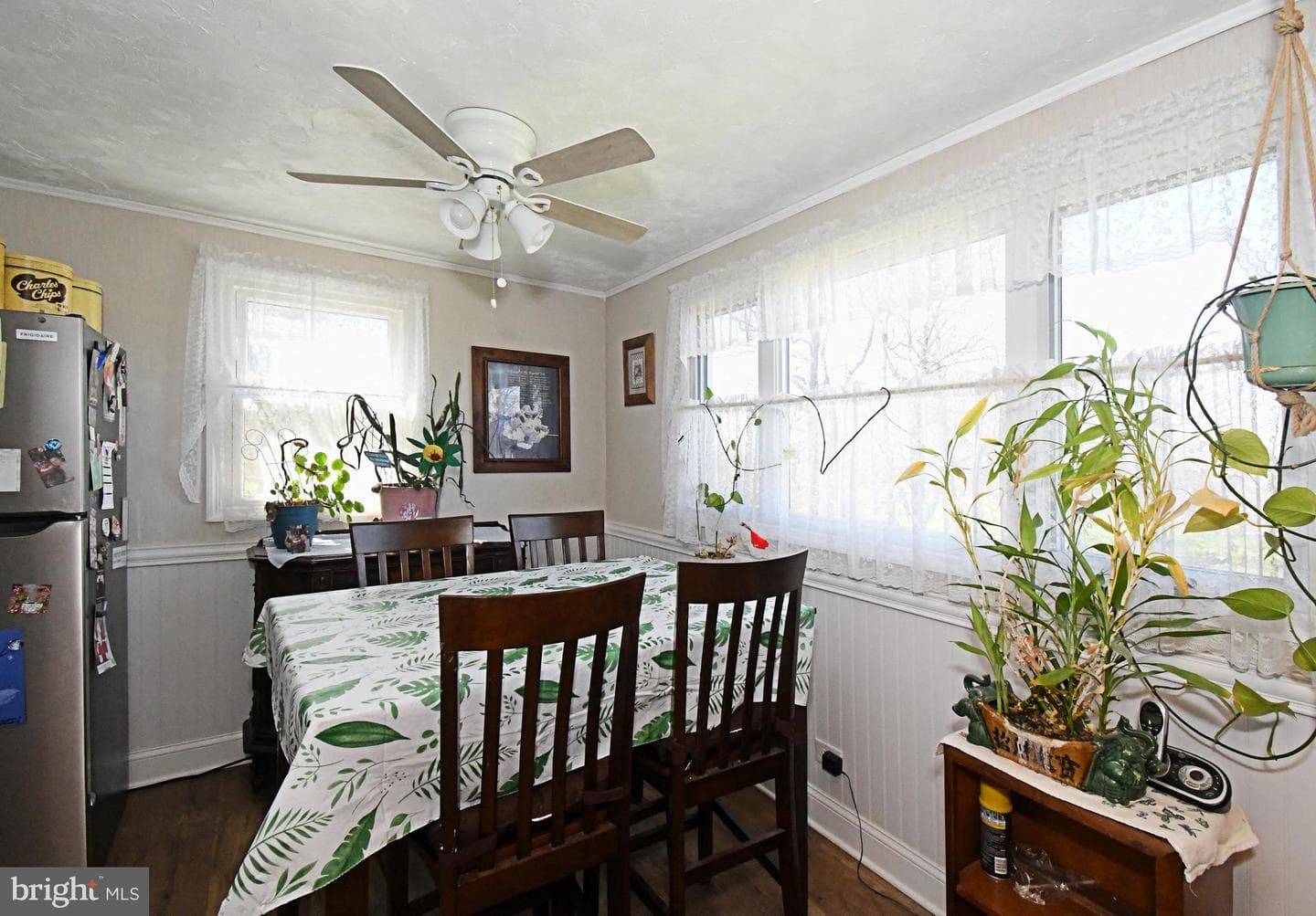 511 Freehall Street photo 13
