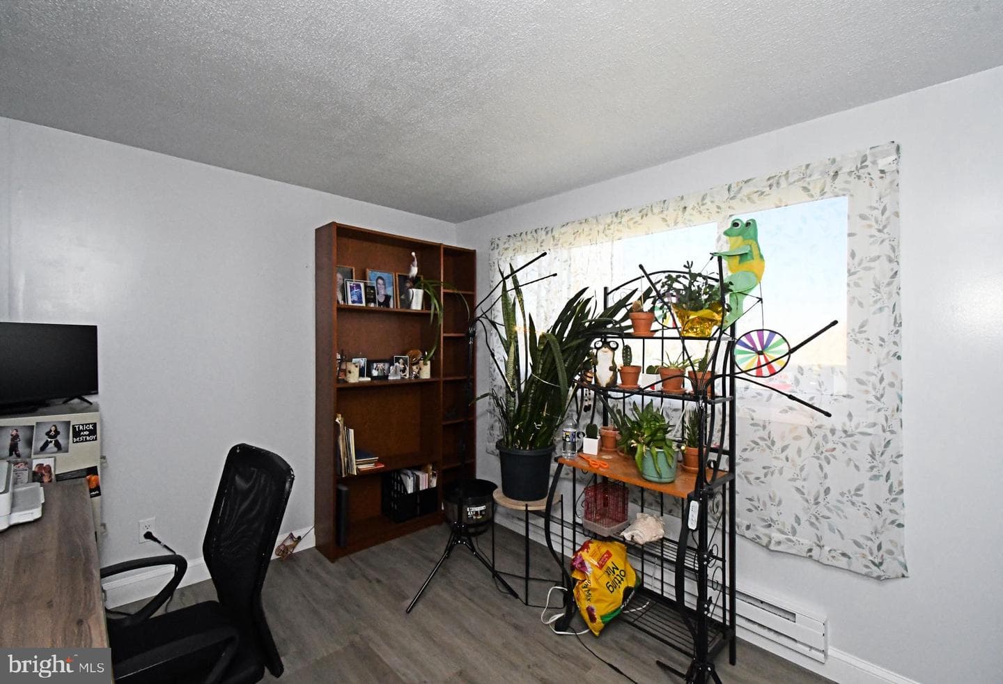 511 Freehall Street photo 23
