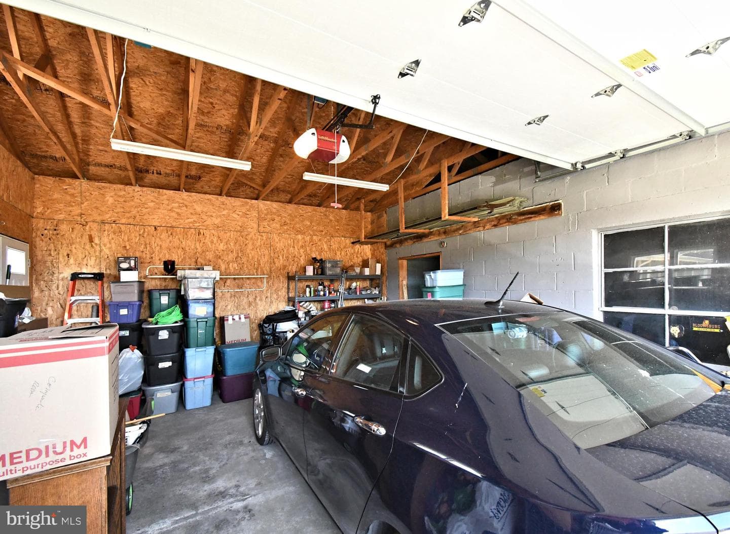 511 Freehall Street photo 54