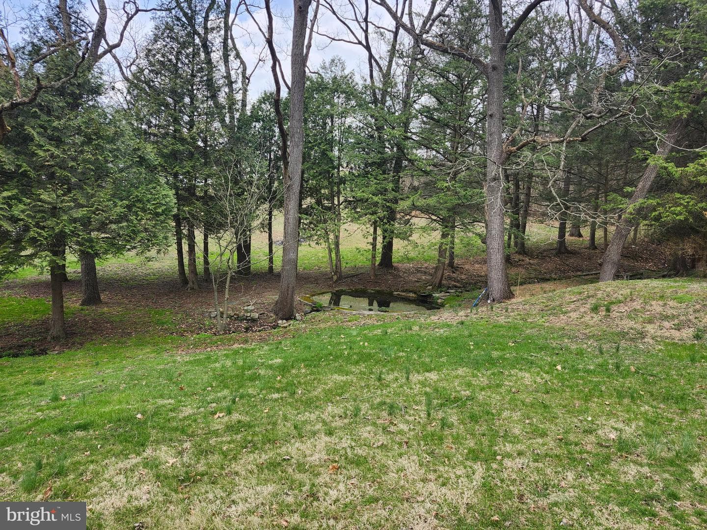 444 N Heidelberg Road photo 48
