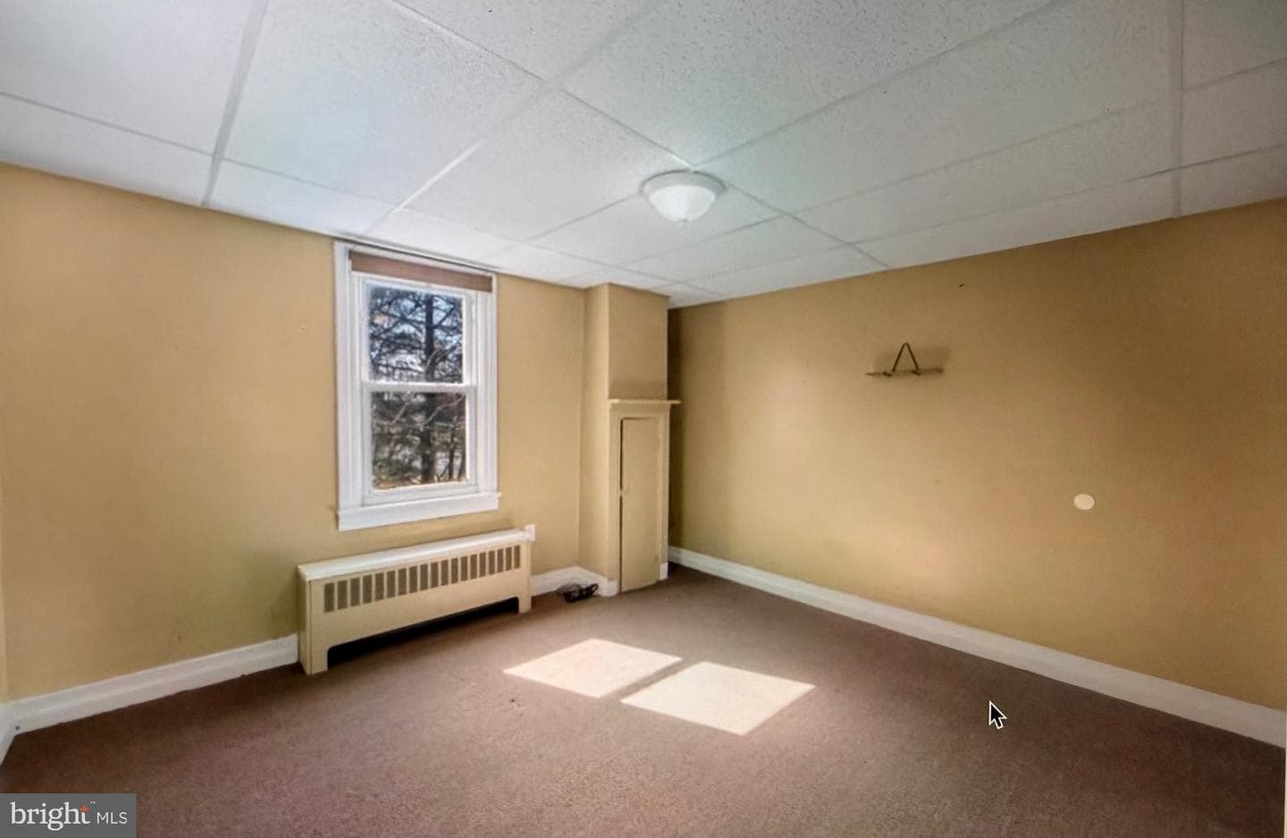 638 State Street photo 20