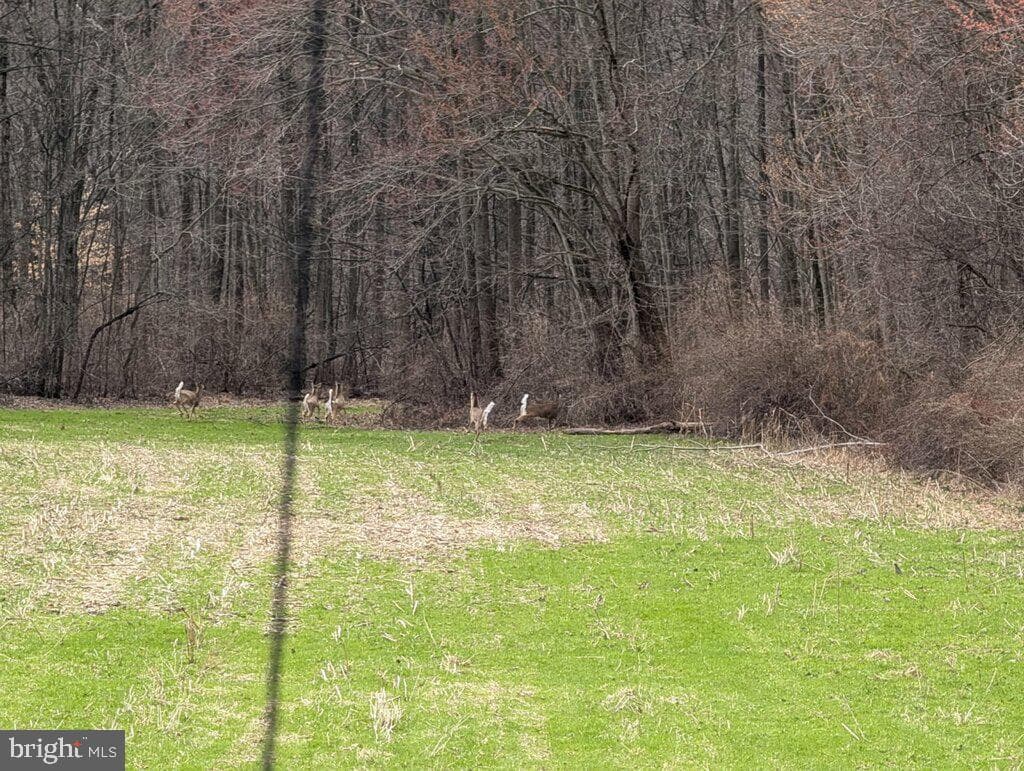 210 Alleghenyville Road photo 88