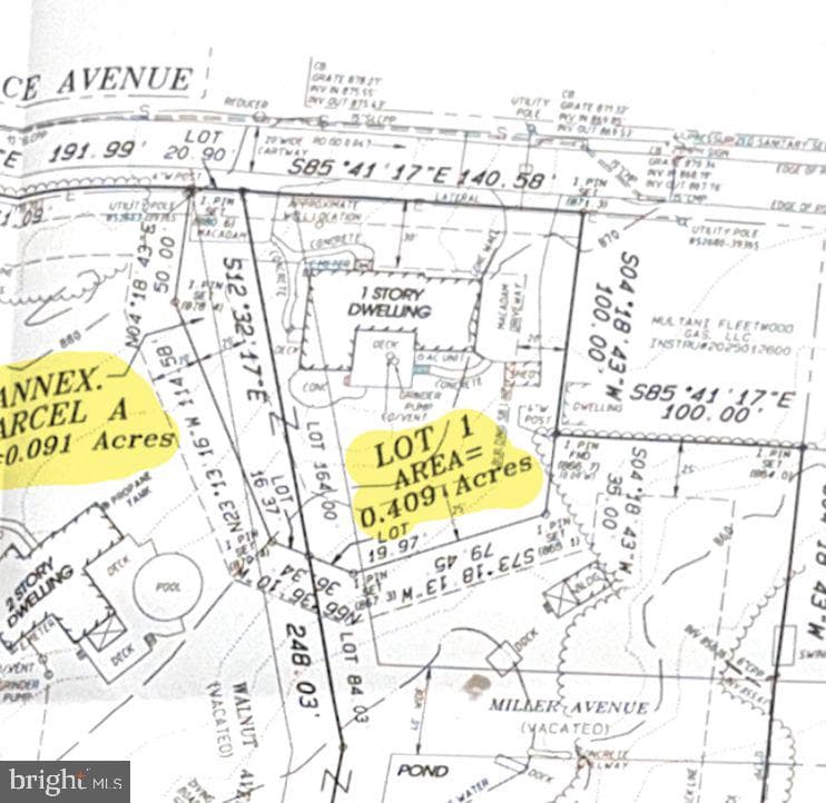 9 Alsace Avenue photo 41