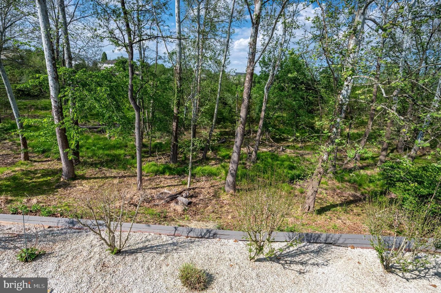 23 Nancy Cir photo 72