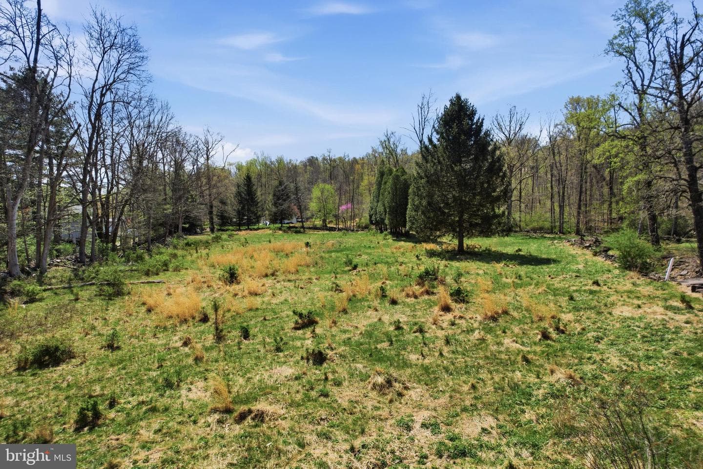 238 Kemp Road photo 43