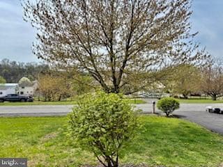 1926 Clydesdale Drive photo 6
