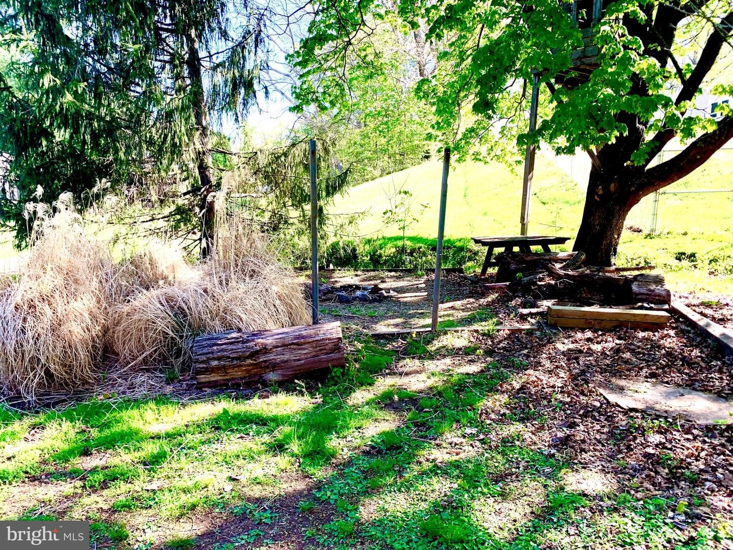 133 Hampton Drive photo 3