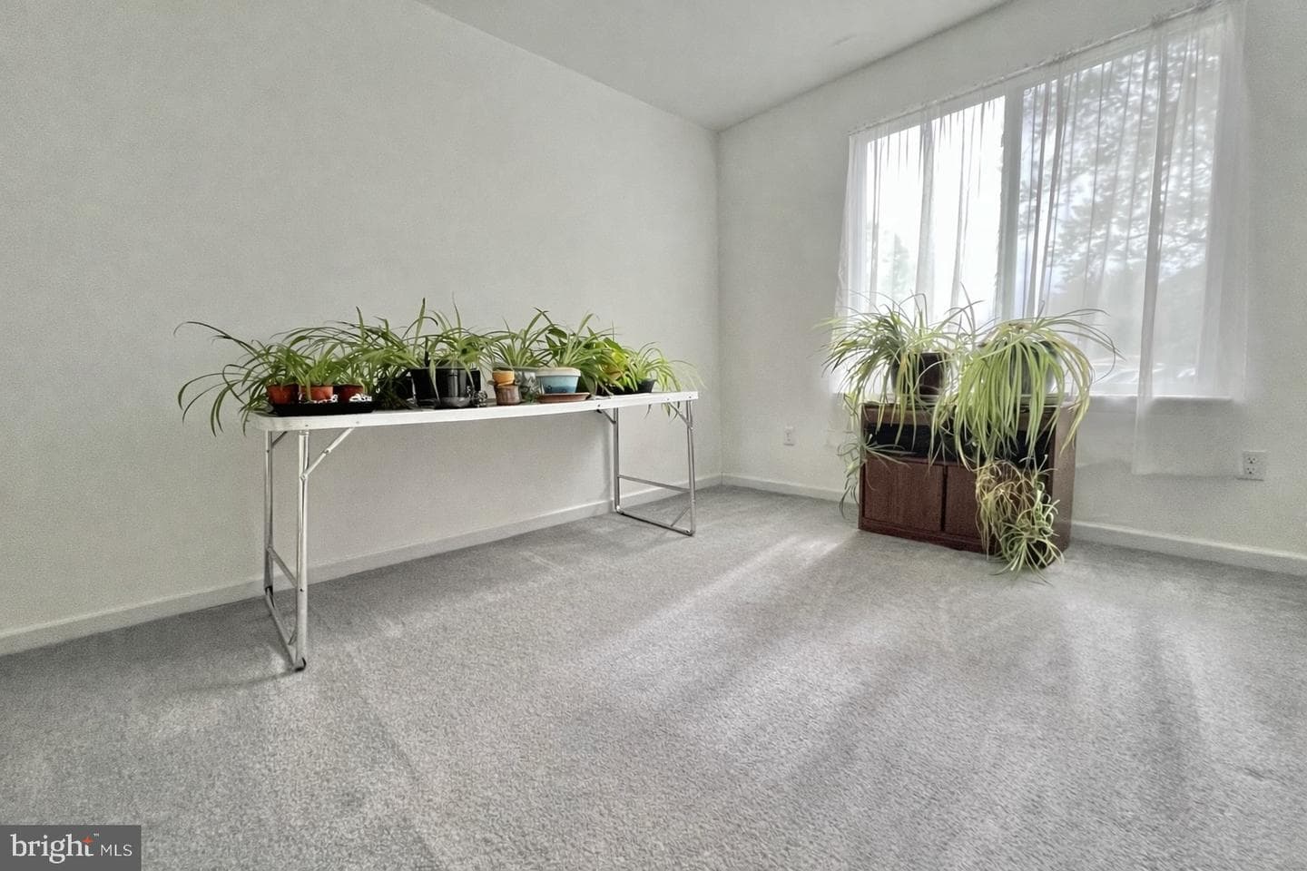 69 Azalea Way photo 22
