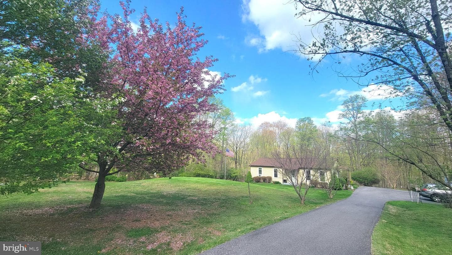 1313 Chestnut Hill Road photo 7