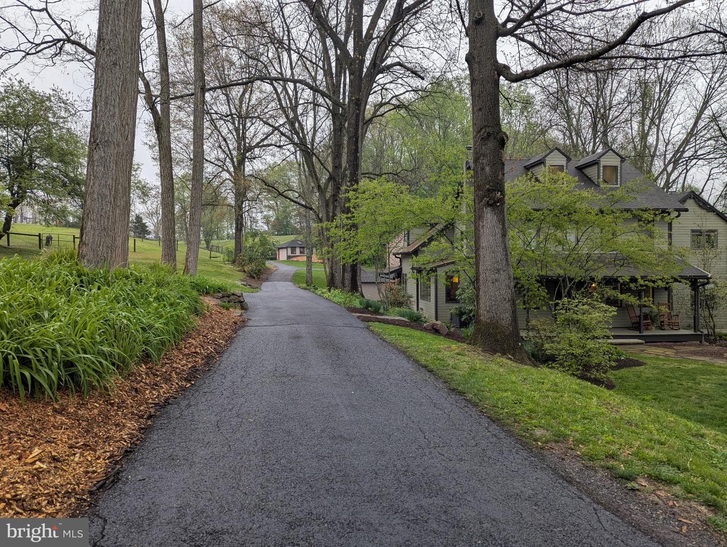 63 Hampshire photo 2