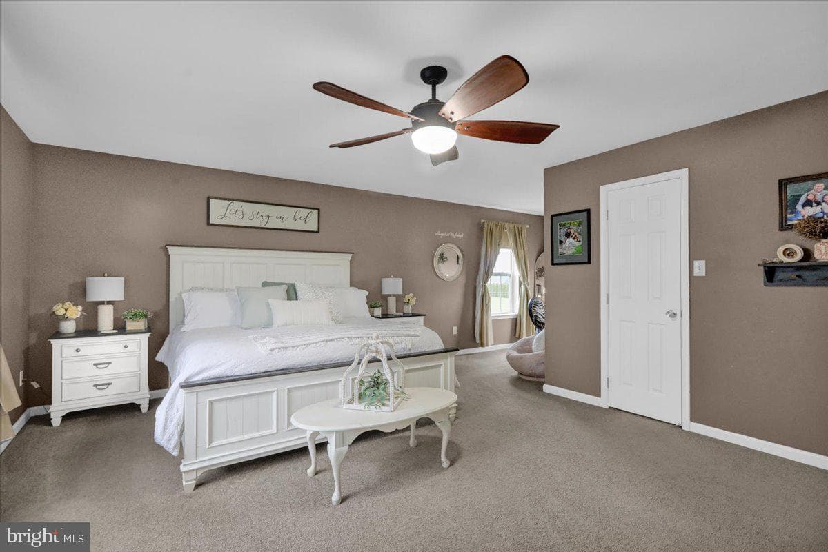 221 Oval Drive photo 22