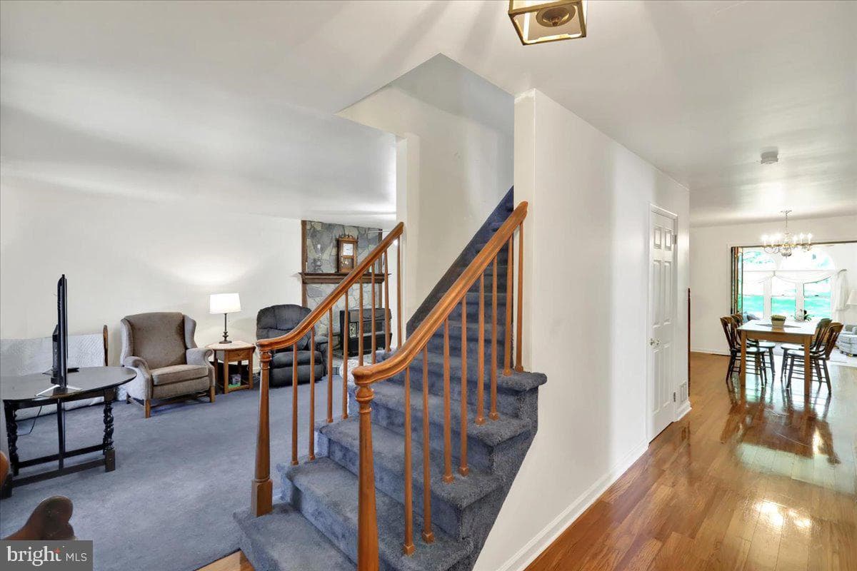 49 Berne Road photo 4