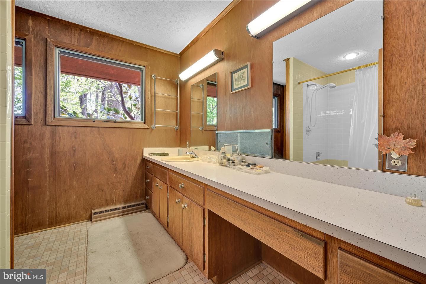40 Devon Drive photo 38