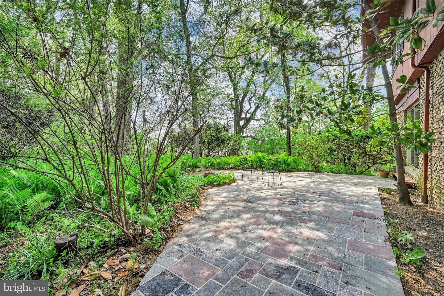 40 Devon Drive photo 7