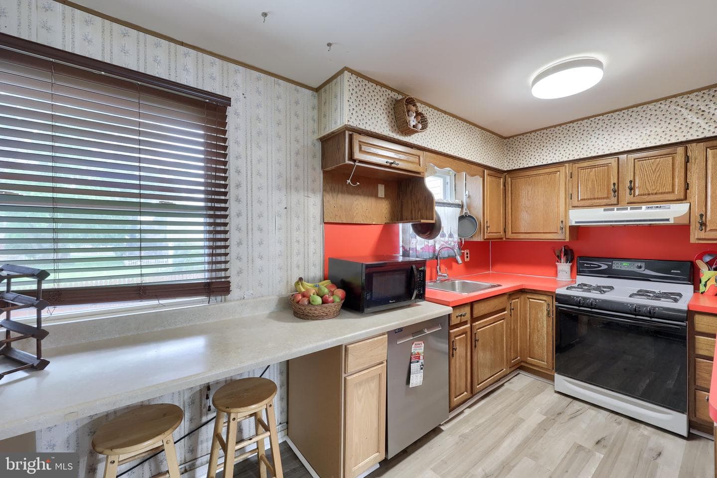 465 Moonflower Avenue photo 15