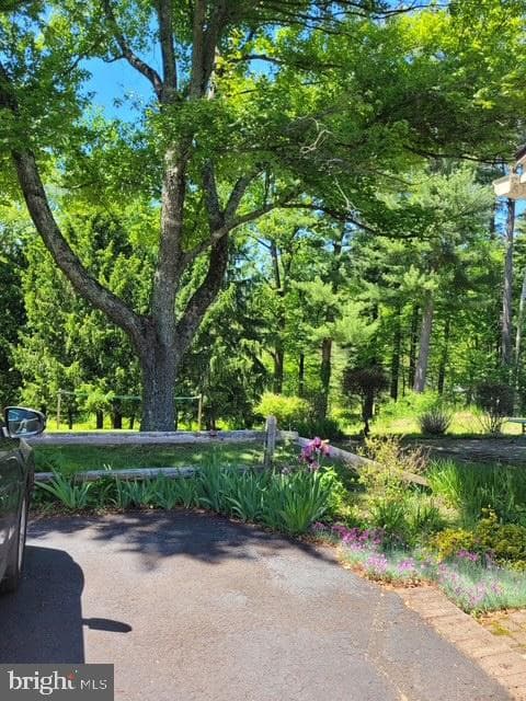 1421 Coldsprings Road photo 20
