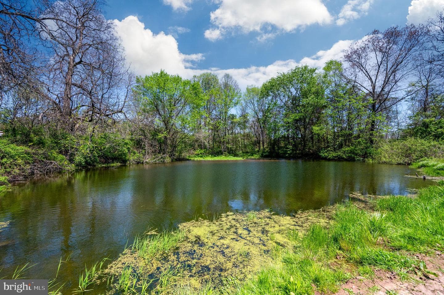 491 Gunhart Road photo 32