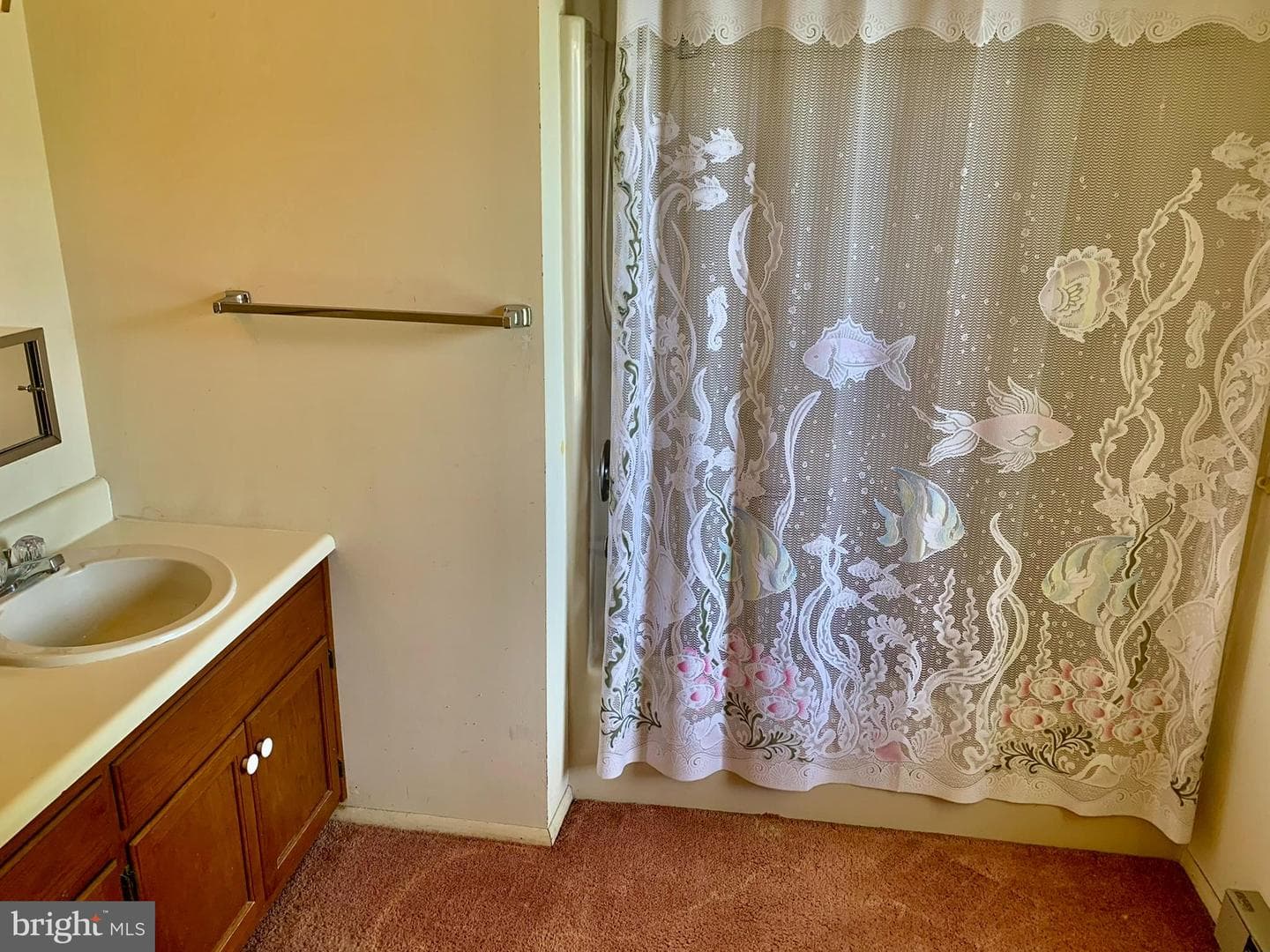 13 Sunrise Drive photo 20