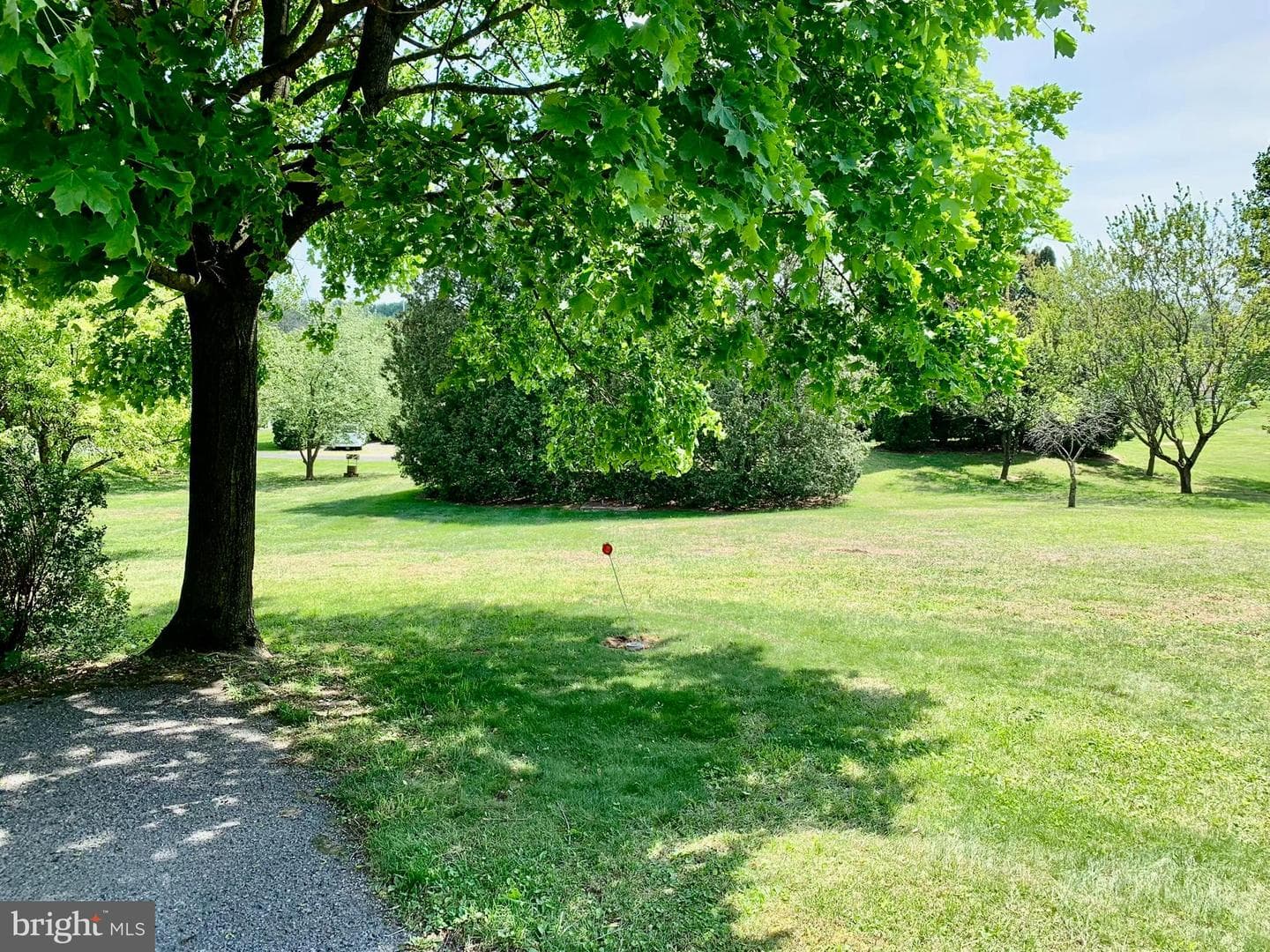 13 Sunrise Drive photo 33