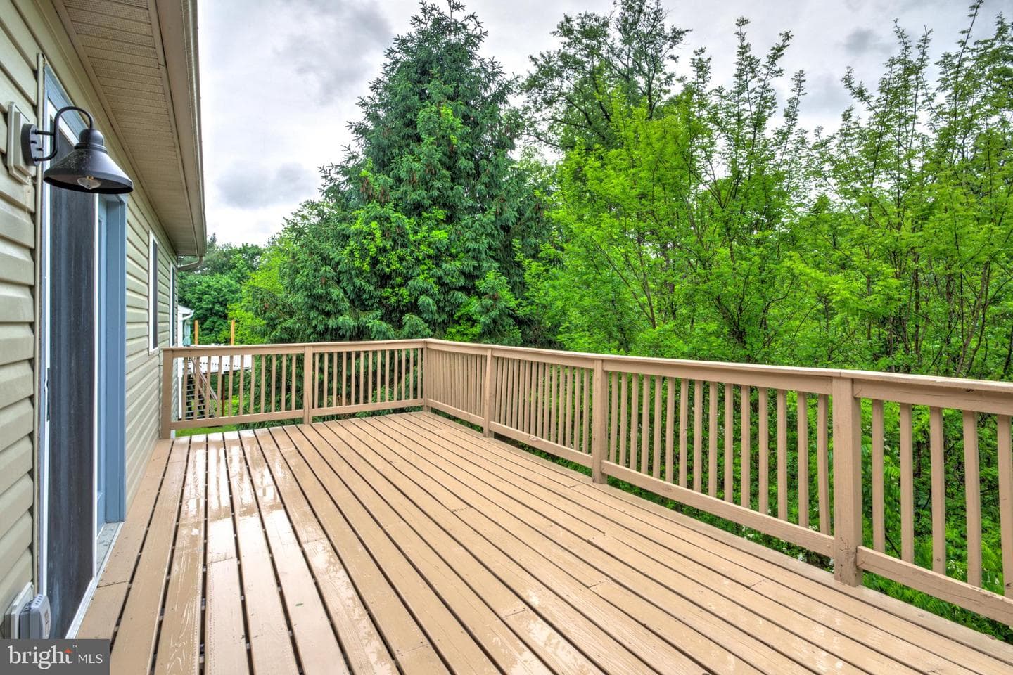 338 Dogwood Ln photo 40